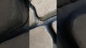 16 сентября 2022 г. Бронированные шины Ви 203 из г Миасс