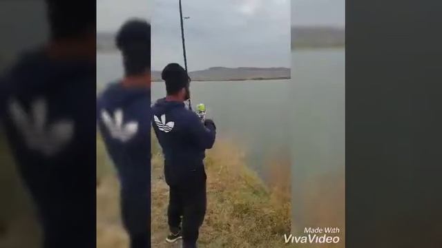 Просянка рыбалка