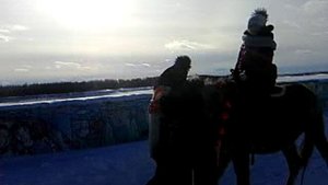 Март лошади