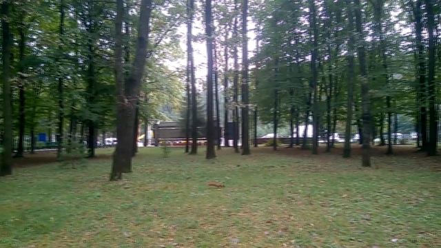 Немного ваших вопросов о нашей работе. смотреть онлайн