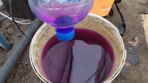 Как разводить марганцовку для обработки лука\Как разводить нашатырный спирт для обработки лука.