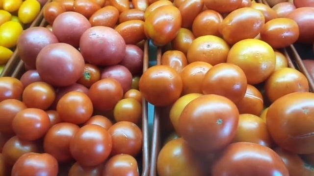 САМЫЕ ХОЛОДОСТОЙКИЕ ТОМАТЫ СО СНЕЖНЫМИ НАЗВАНИЯМИ. Ольга Чернова. смотреть онлайн