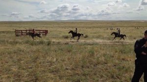 Наадым аът чарыжы