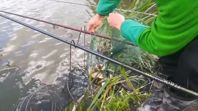 Рыбалка пошла на ура смотреть онлайн