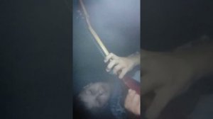 Золотые зёрна кукурузы на балалайке