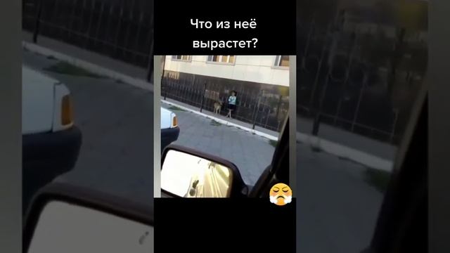 Маленькая живодёрка