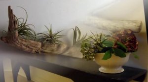 Классные поделки из дерева Экологические поделки для дома