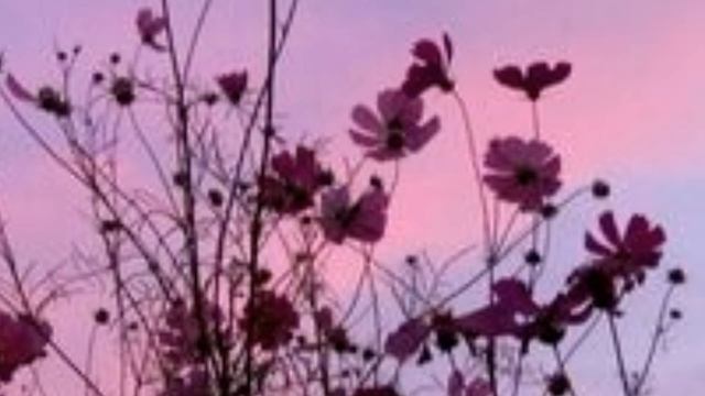 ?Что надо сделать перед школой ? Best August смотреть онлайн