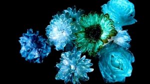 очень эффектная светящаяся краска для цветов