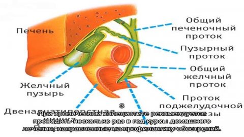 Как лечить воспаление желчного пузыря