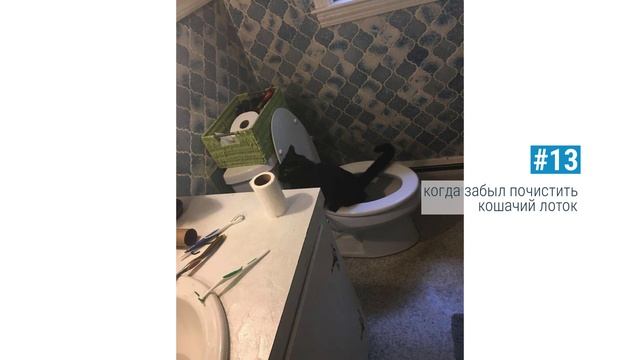 Забавные Ситуации, Когда Что-то Забыл Важное Сделать