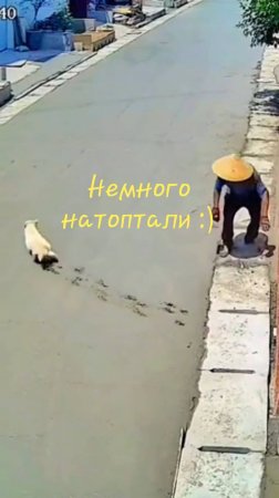 Испортили всю работу 🌞