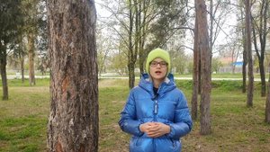 Что находится в горбах у верблюда?