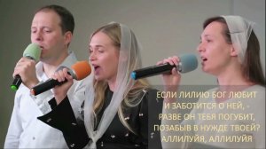 Посмотри вблизи потока _ Песнь возрождения 103