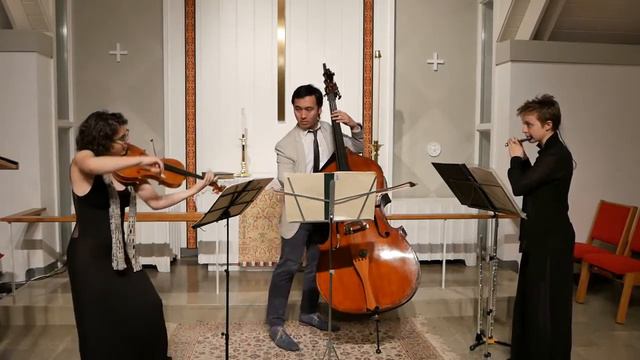 Schulhoff Concertino mvt ii - Trio Jinx смотреть онлайн