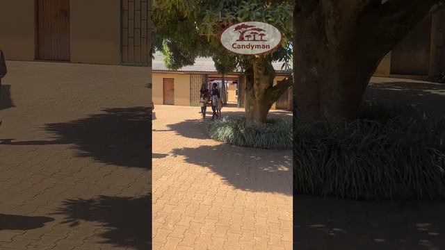 Mini vlog, Africa