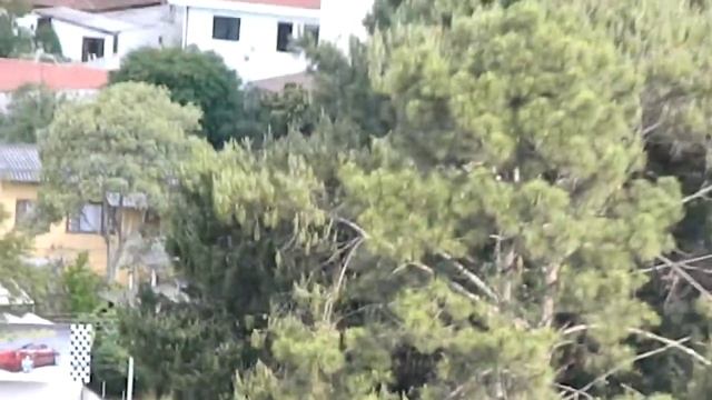 Zoom Nikon Coolpix L120 смотреть онлайн