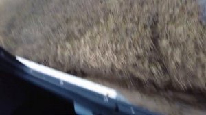 Вездеход Бурлак по воде и по болотам
