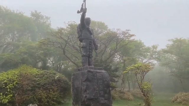? ТУМАННЫЙ ЛЕС. ОСТРОВ ЧЕДЖУ JEJU  Южная Корея
