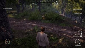 Medieval Dynasty серия 2 прохождение