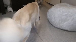 Робот-пылесос ILIFE V50 | Распаковка и обзор