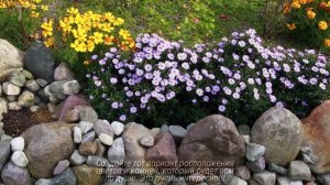 Альпинарий своими руками - это просто! Ландшафтный дизайн садового участка.