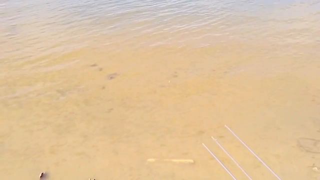 Приманка на Окуня №1 смотреть онлайн