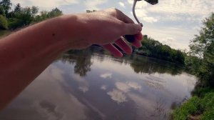 НА ЧТО ЛОВИТЬ ГОЛАВЛЯ ПО ВЫСОКОЙ МУТНОЙ ВОДЕ? Кренки в сторону