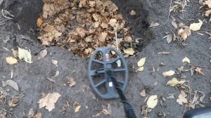 Minelab X-Terra Pro - Тест на дрібне золото #металлоискатель #металошукач #minelab #minelabdetector