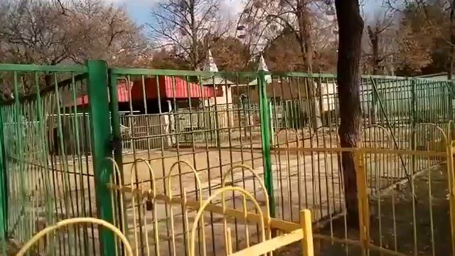 СИЗОО - милейший благородный олень))) смотреть онлайн