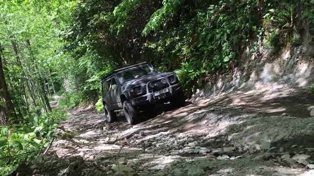 КУДА МЕНЯ ЗАНЕСЛО? ЗАПОВЕДНИК КИНТРИШИ. АДЖАРИЯ ГРУЗИЯ смотреть онлайн