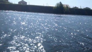 Рыбалка в Бронницах