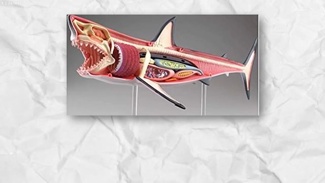 Fishing Boat Discovers Something TERRIFYING in the Sea That SHOCKS the Whole World! смотреть онлайн