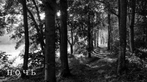 СТРАШНЫЕ ИСТОРИИ ПЕРЕД СНОМ?. НОЧЬ.