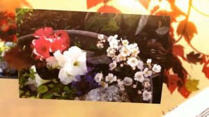 Маленький сад своими руками, идеи