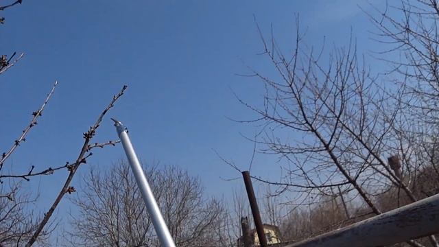 Как ОБРЕЗАТЬ ЧЕРЕВИШНЮ и другие дюки при ФОРМИРОВКЕ дерева ЧАШЕЙ.
