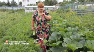 Кабачков Столько, Что Не Знаю Их Уже Куда Девать! Делюсь Секретом.