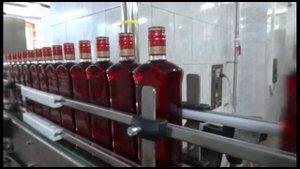 Конвейер Мариинского ЛВЗ (Прохор и Пузо - "Хороший день")