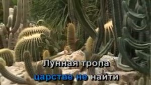 Алекса - Лунная тропа (Караоке)