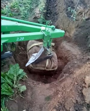 2021 Октябрь. "Каменное" 9 Октября. Таким я его запомню.