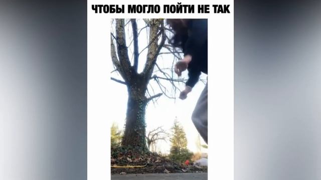 Смешнявка №17 | Подборка смешных видео #смех #юмор #рофлы