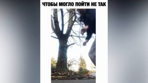 Смешнявка №17 | Подборка смешных видео #смех #юмор #рофлы