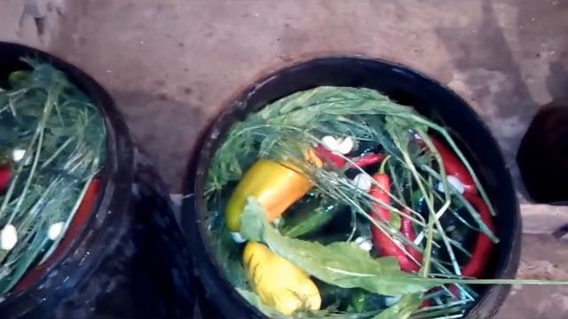 Мое домохозяйство. Засолка огурцов в бочки. смотреть онлайн