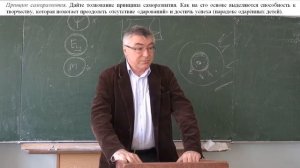 3.2. Принцип саморазвития.  Как на его основе выделяются способность к творчеству?