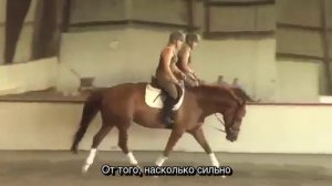 Art2Ride Translated Video In Russian: How To Engage Your Horse's Back: Работа спины лошади   Перево