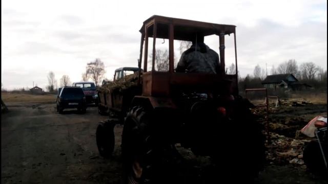 для работы в нашем хозяйстве мы купили помощника - трактор Т-16 смотреть онлайн