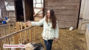 Совершенствуем самую лучшую кормушку для коз.