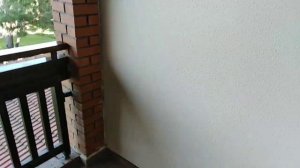 "Пальмы прям под носом"