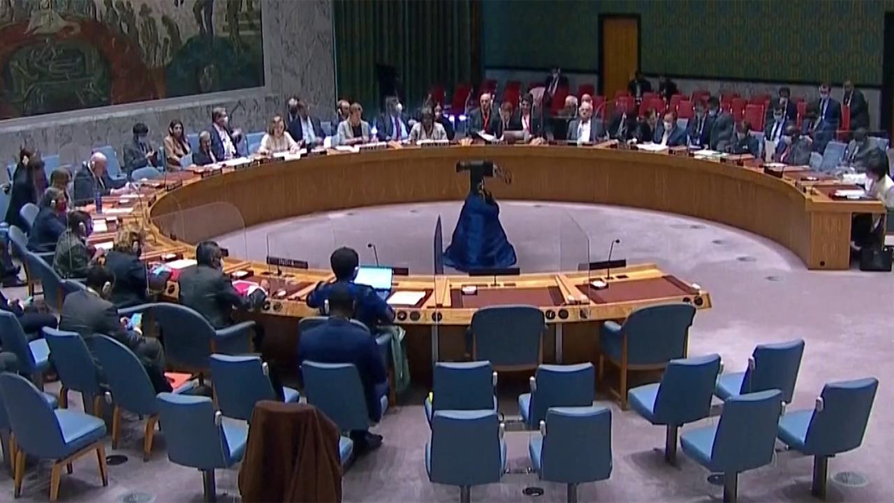 Небензя в ООН