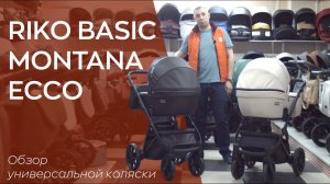 RIKO BASIC MONTANA ECCO | обзор универсальной коляски